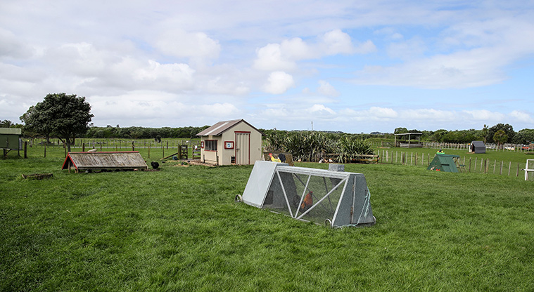 Ambury Farm Path - Animal hutches and houses.