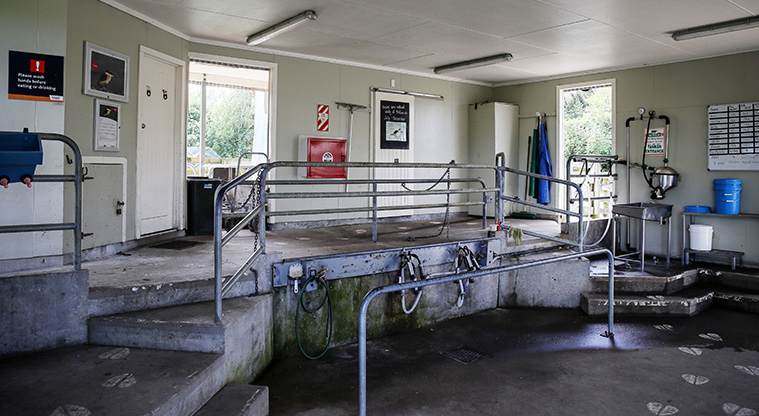 Ambury Farm Path - See inside the milking shed.