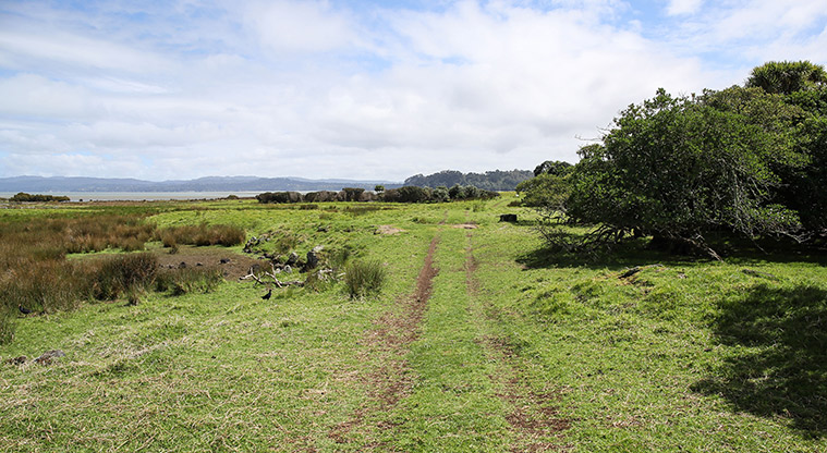 Ambury Foreshore Path - Path follows farm tracks and through paddocks.