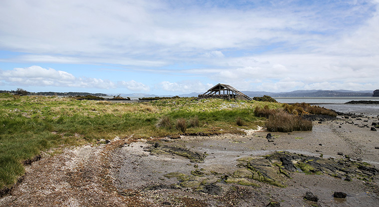 Ambury Foreshore Path - Bird watching hut and areas along the foreshore.