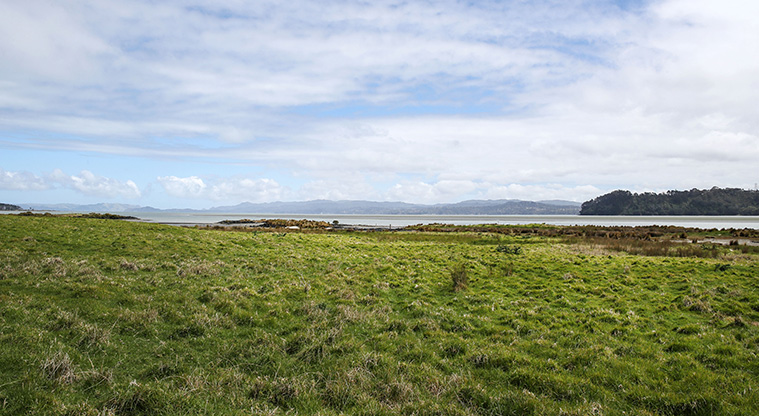 Ambury Foreshore Path - Views over the Manukau Harbour.