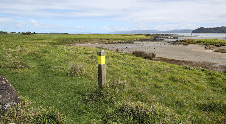Ambury Foreshore Path - Keep following track markers.