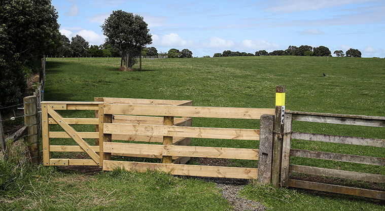 Ambury Foreshore Path - Through a working farm.