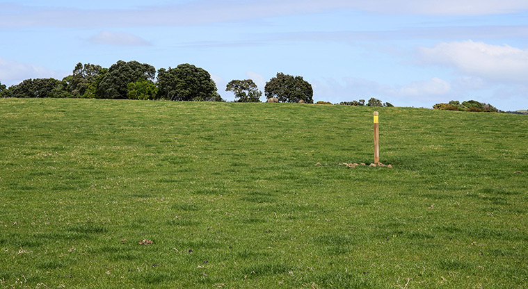 Ambury Foreshore Path - Markers continue to show the way through paddocks.