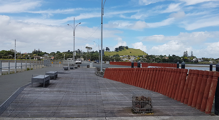 Ambury to Waikaraka Path - view looking back to Mangere Mountain from the old Mangere Bridge.