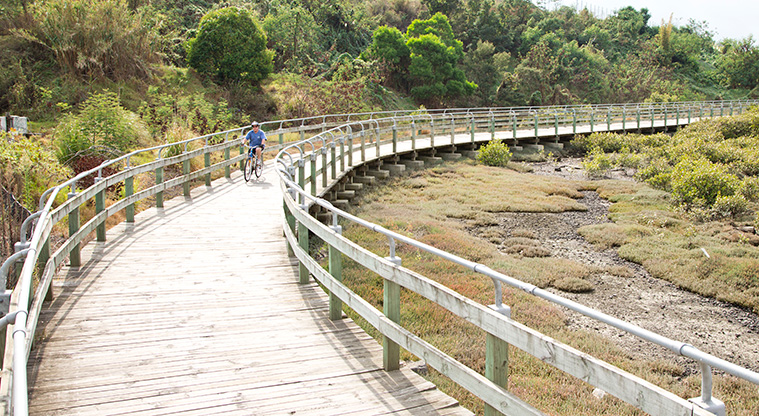 Ambury to Waikaraka Path - Boardwalk access at Onehunga.