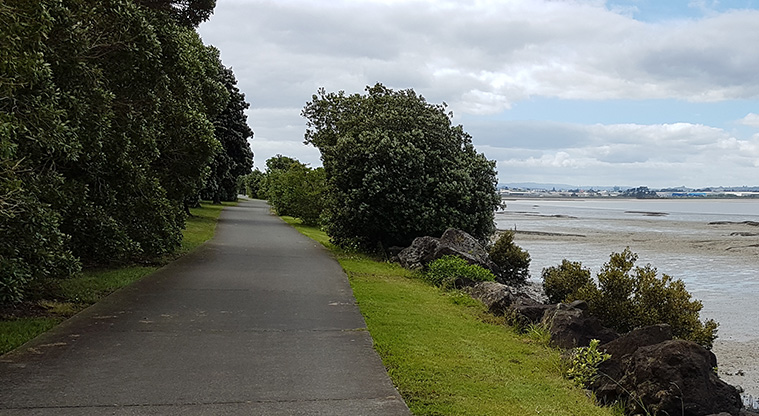 Ambury to Waikaraka Path - Path through Kiwi Esplanade Reserve on the northern coast of Manukau Harbour.