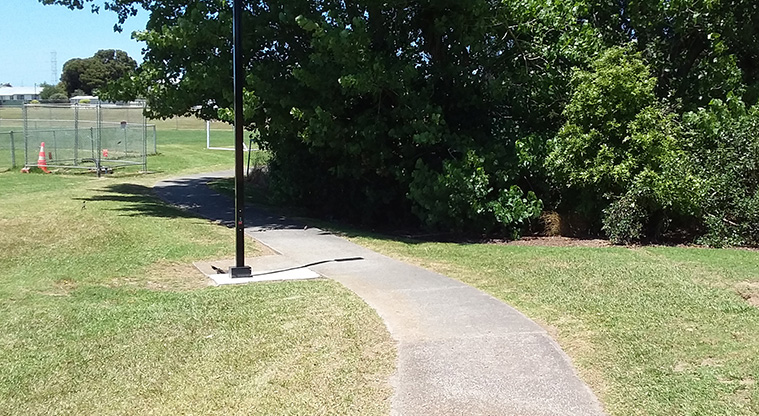 Archibald Park to Onewherowhero / Brains Park Path - Path through Onewherowhero / Brains Park.