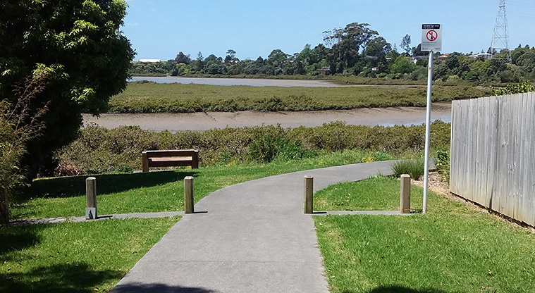 Archibald Park to Onewherowhero / Brains Park Path - Path access from Cobham Crescent.