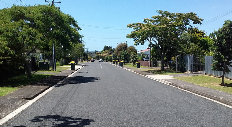 Archibald Park to Onewherowhero / Brains Park Path - On-road section on Cobham Crescent.