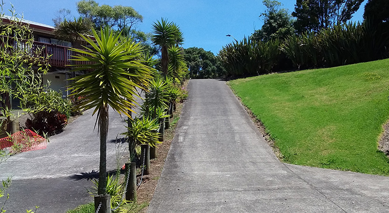 Archibald Park to Onewherowhero / Brains Park Path - Connection between Aronui Terrace and Kiernan Place.