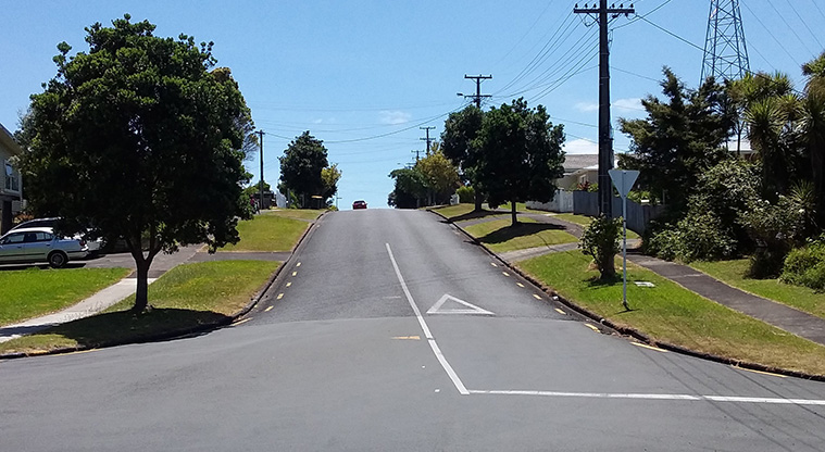 Archibald Park to Onewherowhero / Brains Park Path - On-road section on Brains Road.