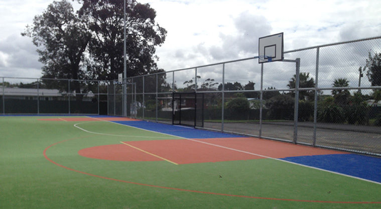 Archibald Park to Onewherowhero / Brains Park Path - Basketball hoops in Onewherowhero / Brains Park.