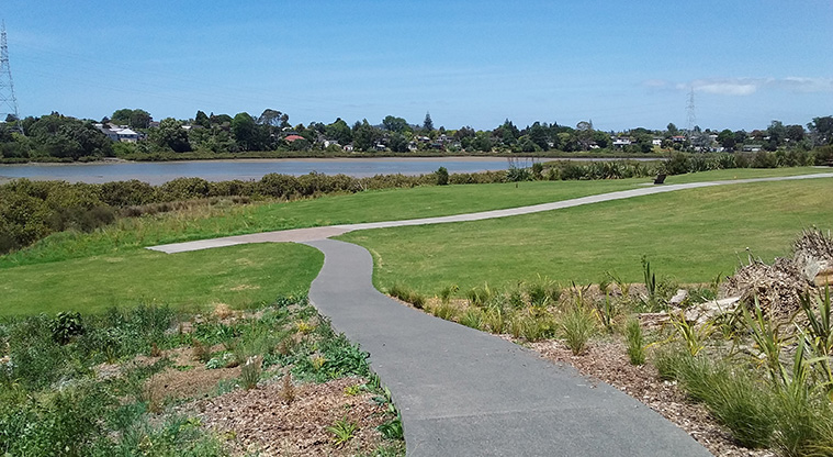 Archibald Park to Onewherowhero / Brains Park Path - Path into Archibald Park from Cobham Crescent.