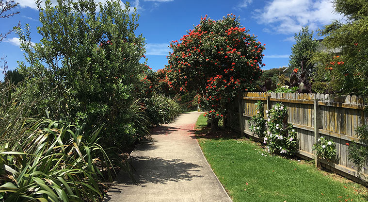 Arkles Bay Path - Follow the path from Ferry Road.