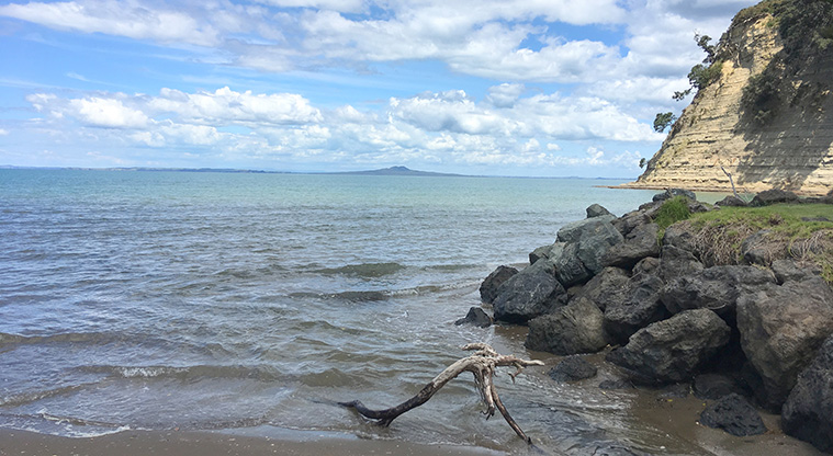 Arkles Bay Path - Stunning views to Rangitoto Island.
