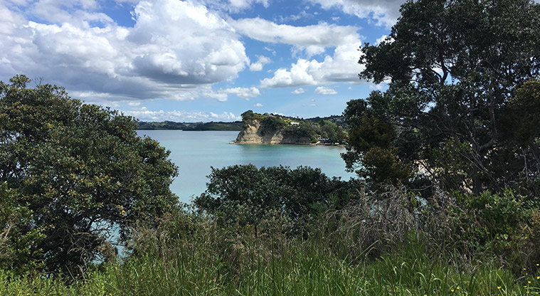 Arkles Bay Path - Views from optional bush track leading up to Whangaparāoa Road.