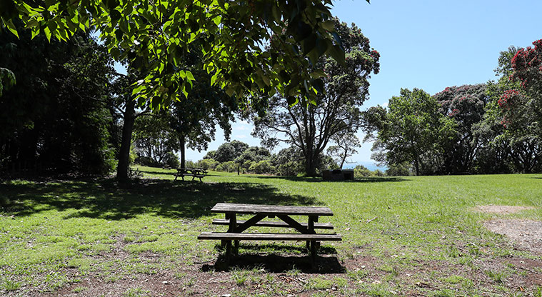 Āwhitu Brook Homestead Path - Ideal picnic spot at this point.