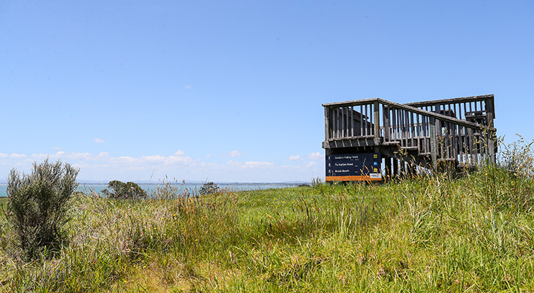 Āwhitu Hatton Road Path - Lookout at the top of the walk.