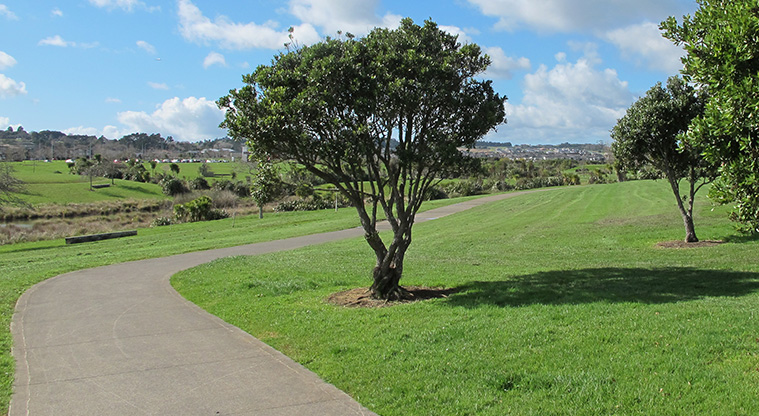 Barry Curtis Path - Path section within Barry Curtis Park.