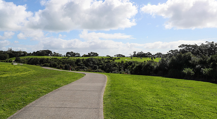 Beachlands to Maraetai Path - A typical section of path.