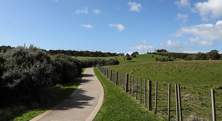 Beachlands to Maraetai Path - Path through Omana Regional Park.