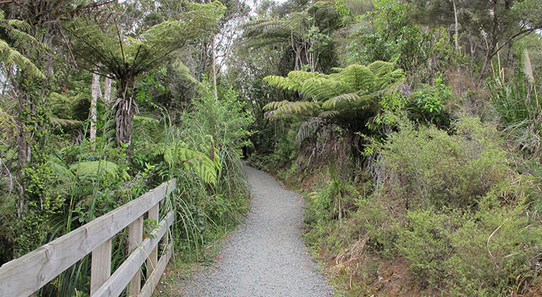 Beveridge to Arataki Track - Track runs through beautiful native bush.