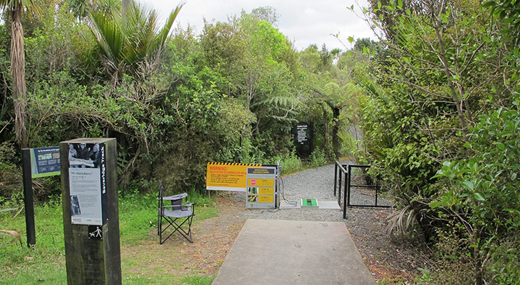Beveridge Arataki Path - Alternative Path start from Arataki Visitor Centre car park – please follow instructions for kauri dieback.