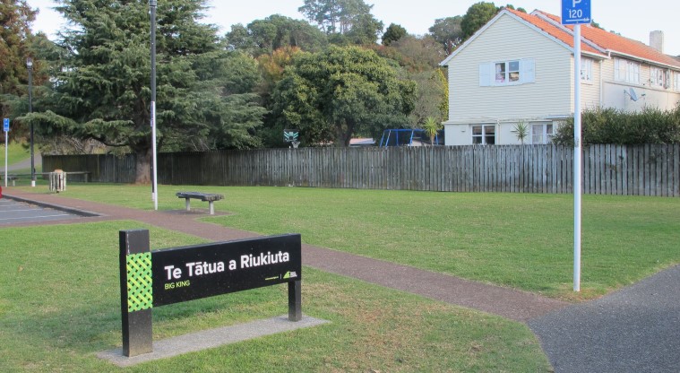 Te Tātua a Riukiuta / Big King Path - Entrance to the path, adjacent to the Duke Street car park.