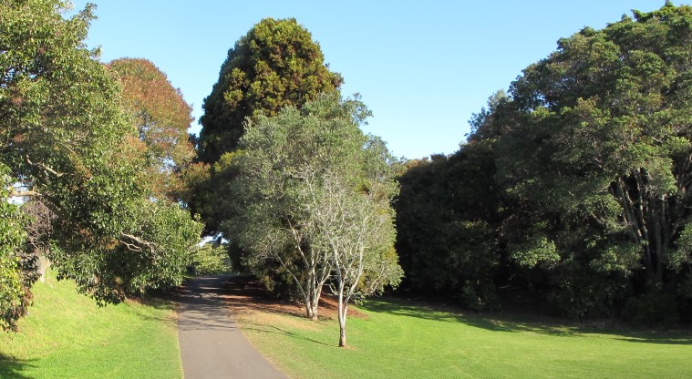 Te Tātua a Riukiuta / Big King Path - Footpath marking the start of the path.