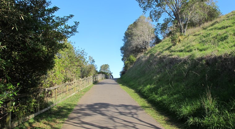 Te Tātua a Riukiuta / Big King Path - A typical section of the sealed path.