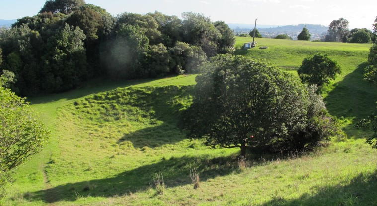 Te Tātua a Riukiuta / Big King Path - Grassy area to your left and you walk up the maunga.