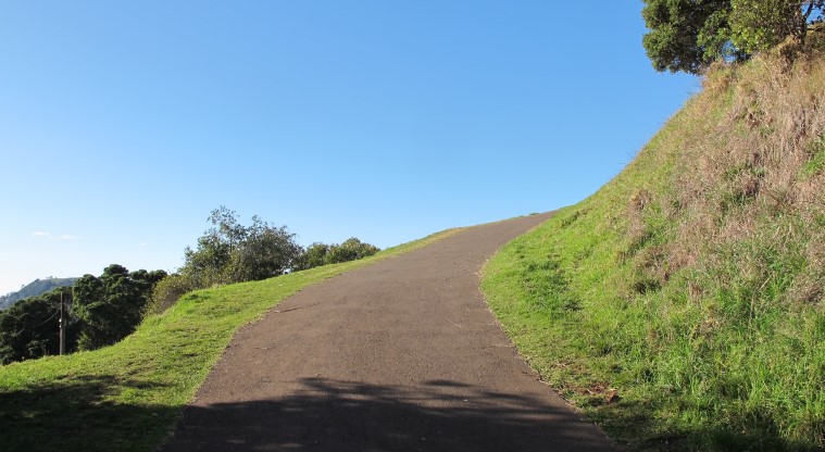 Te Tātua a Riukiuta / Big King Path - Steep section of the path heading to the tihi (summit).