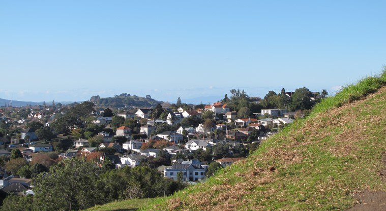 Te Tātua a Riukiuta / Big King Path - View overlooking the suburb of Mt Eden.