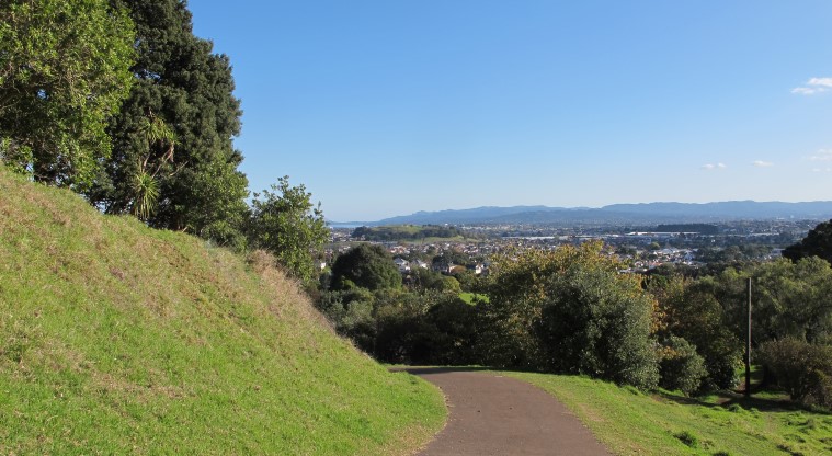 Te Tātua a Riukiuta / Big King Path - Section of path heading down the maunga.