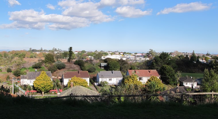 Te Tātua a Riukiuta / Big King Path - View overlooking homes in Three Kings.