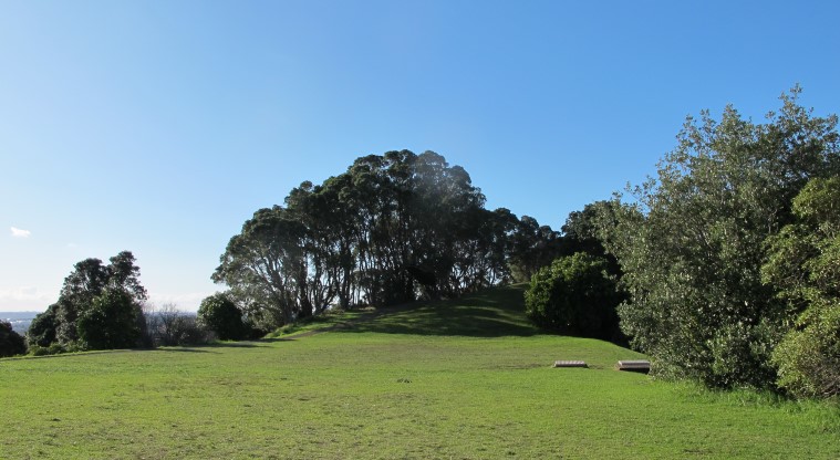 Te Tātua a Riukiuta / Big King Path - Flat part of the reserve.