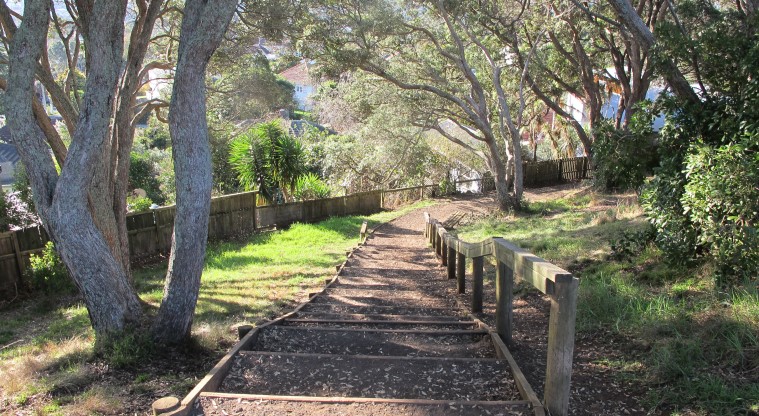 Te Tātua a Riukiuta / Big King Path - Series of steps as you descend the maunga.