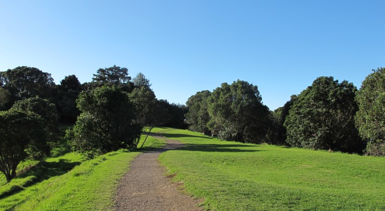 Te Tātua a Riukiuta / Big King Path - Flat section of gravel path.