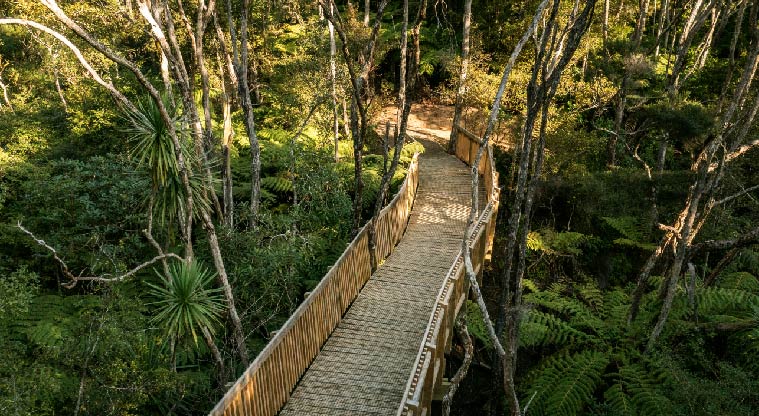 Birkenhead War Memorial Path - Wooden high bridges overlooking greenery.