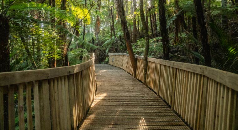Birkenhead War Memorial Path - Wide paths accessible for prams.