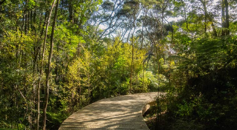 Birkenhead War Memorial Path - Relatively flat paths throughout the walk.