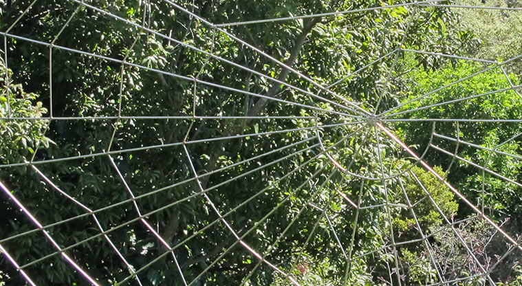 Botanic Gardens East Sculpture Path - Fred Graham, The Web (2014) - Engineer Rex Erikson