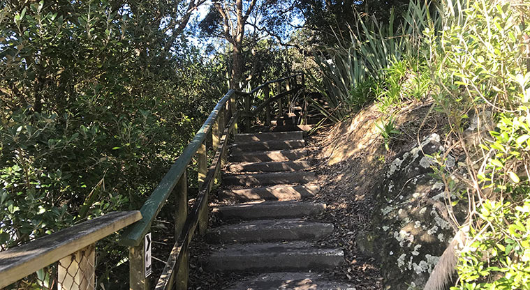Campbells to Murrays Path - Possum Ladder stairs.