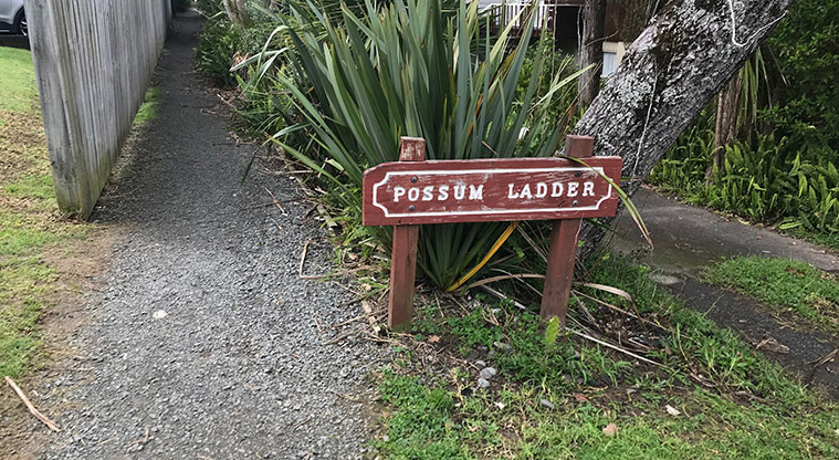 Campbells to Murrays Path - Possum ladder access from View Road.