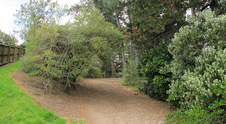Cascades Path - Historic scoria path.