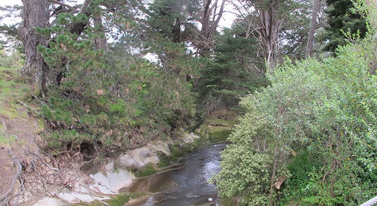 Cascades Path - Cascades stream.