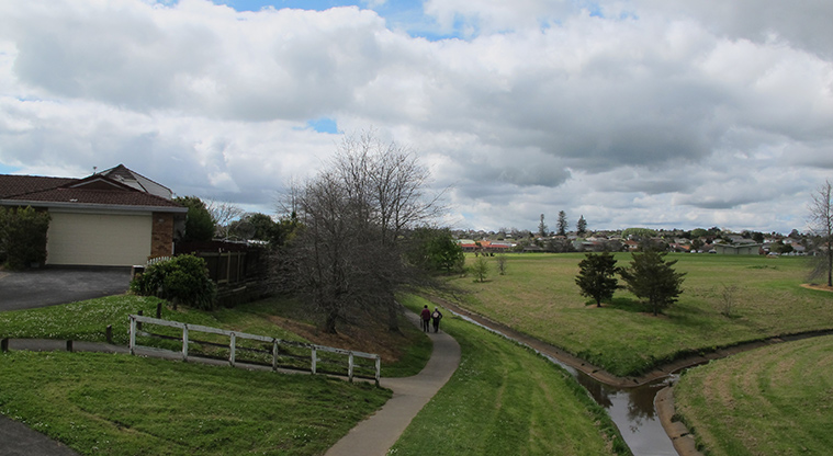 Cascades Path - Path over Botany Road bridge.