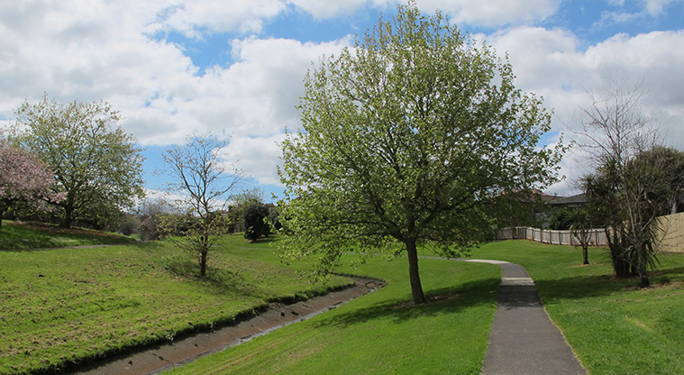 Cascades Path - Path following culverted stream.