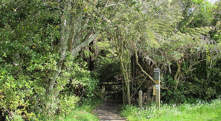 Centennial Park Nature Path - Path start.